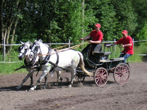 Mehr Bilder im "Fotoalbum" - hier klicken!